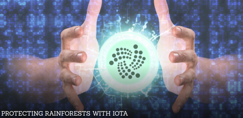 ICO Examiner tweet media