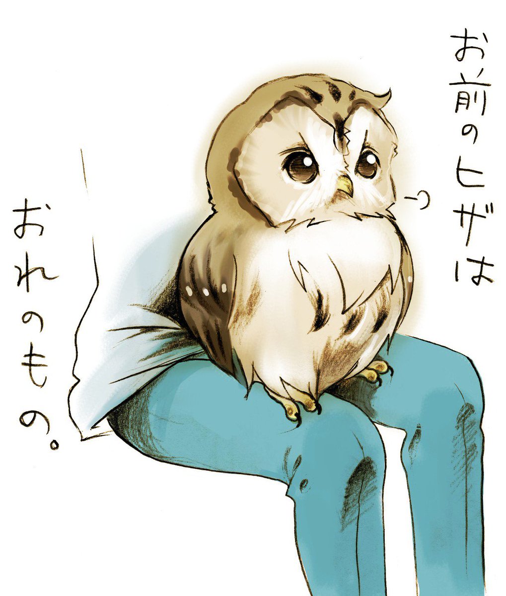 #何度でも見てほしいお気に入りを貼るタグ

全部に登場するUral Owlさま 