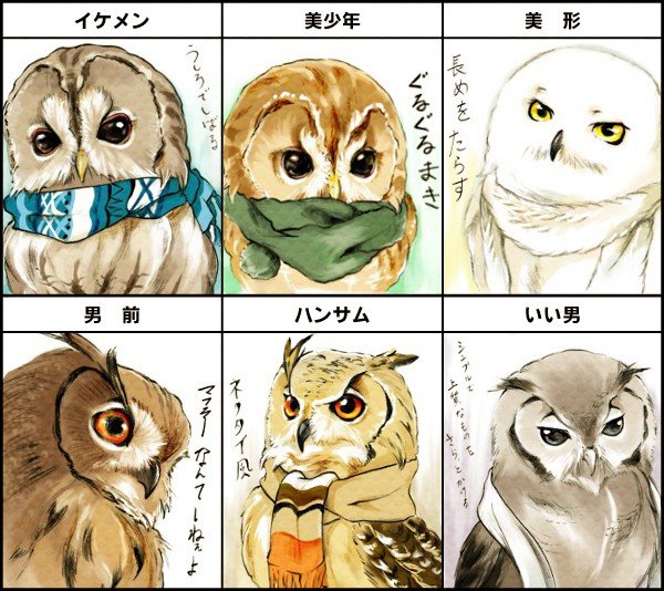 #何度でも見てほしいお気に入りを貼るタグ

全部に登場するUral Owlさま 