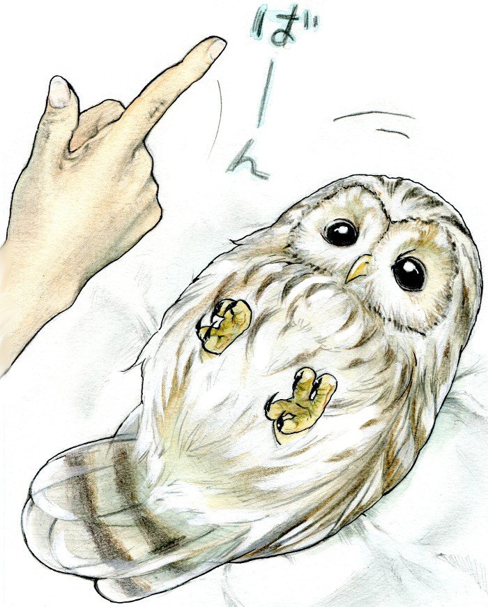 #何度でも見てほしいお気に入りを貼るタグ

全部に登場するUral Owlさま 