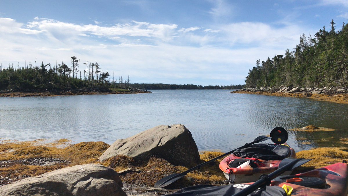 Nzuri Sana tweet media