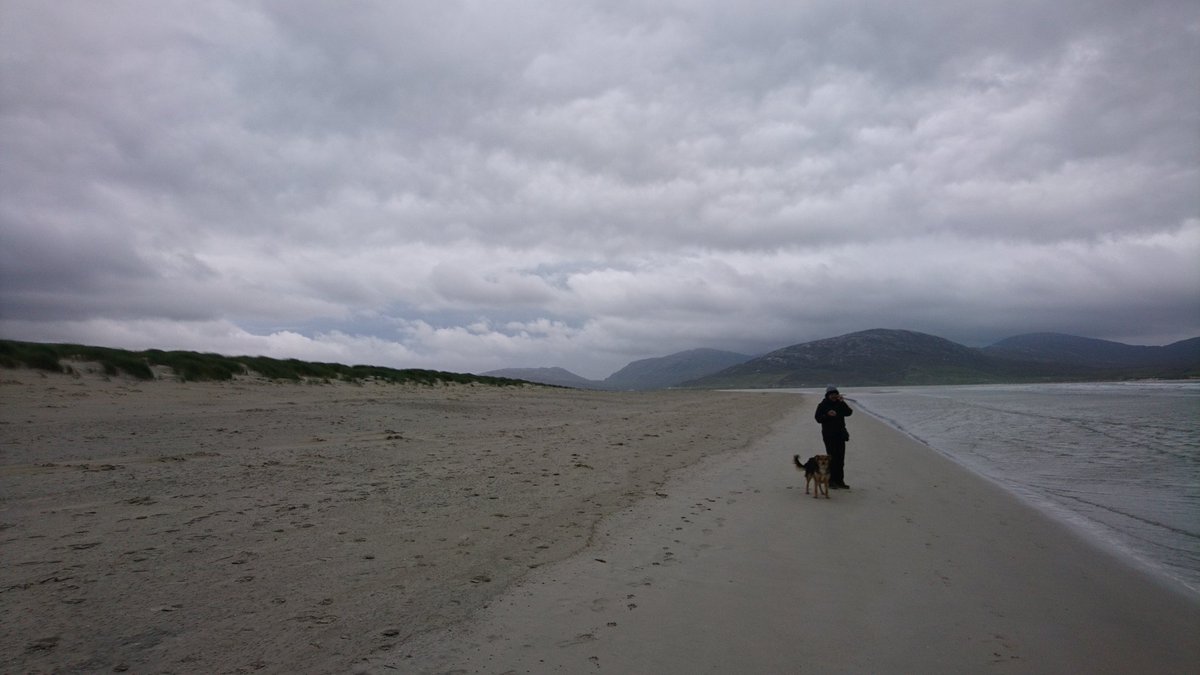 DogMungo's tweet photo. Another day, another glorious beach walk. #Luskentyre #Harris #OuterHebrides https://t.co/TnB5Mp370a
