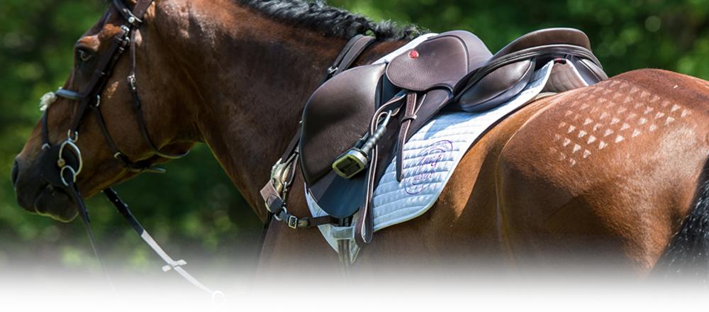 Thank you to <a href="/KentandMasters/">Kent and Masters</a> who sponsor <a href="/MusketeerEvents/">Musketeer Events</a> . Without their sponsorship we could not put on the events you enjoy. To learn about the skills and techniques used to create saddles to suit you and your horses needs take a look at their website: ecs.page.link/mXLnF