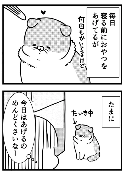 猫のきにゃと、ごとうさん(224) 根負け  #マイナビニュース 