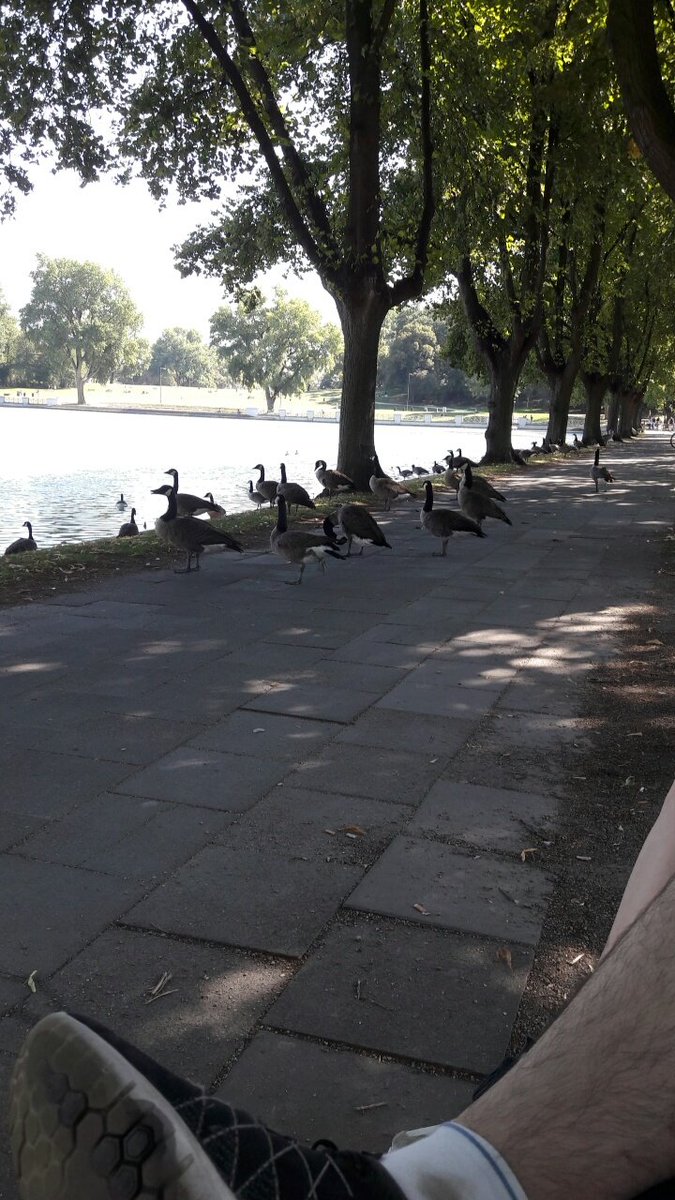 volldost's tweet photo. #hoodcheck mit der Gang. https://t.co/fukX8sVaHf