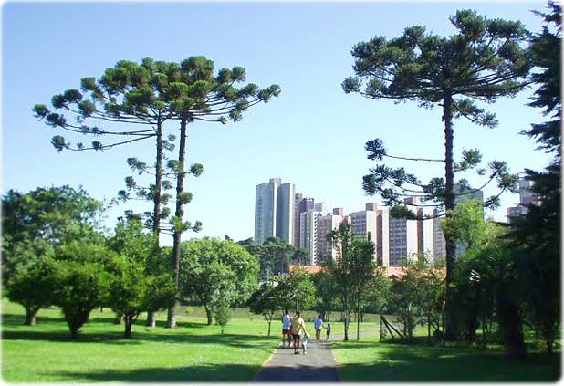 BelloteMateus's tweet photo. Today starts the biggest urologists meeting in Brazil. This year is in Curitiba, the most beautiful city in the country 😉 #cbu19. Great opportunity to see old friends and meet new ones!
Let's try to organize a meeting of your social media #UroSoMeBrasil
#UroSoMe https://t.co/XgiO7jKVEQ