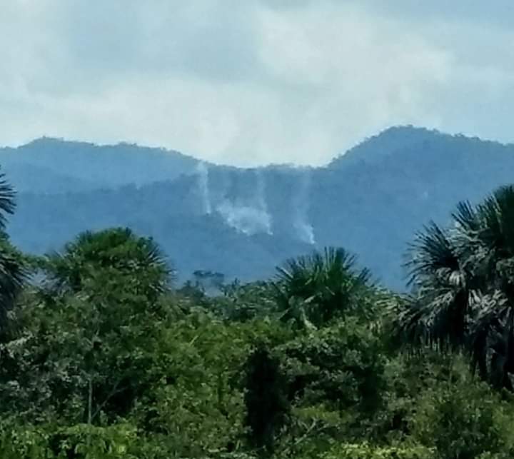 SERNANP's tweet photo. #ÚltimoMinuto
Ante posibilidad de incendio🔥 forestal en Zona Reservada Sierra del Divisor, guardaparques bomberos forestales Sernanp @MinamPeru👨‍🚒, Municipalidad Provincial Ucayali, @PoliciaPeru e @indeciperu llegan a sector Aguas Calientes para controlar siniestro.
#PerúNatural https://t.co/7eNgUjpPYv
