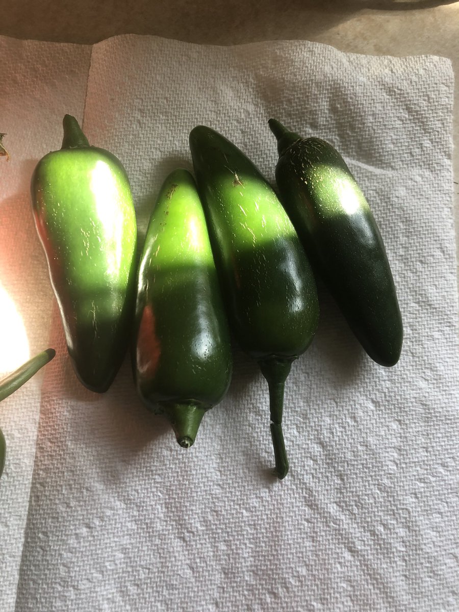 thinned slicely tweet media