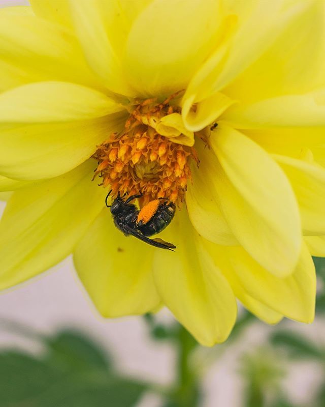 mcskin's tweet photo. Shot 8/4/19
.
.
.
.
.
#photography #photooftheday #master_shots #longislandnewyork #liprimeshot #exploreliny #artofvisuals #moodygrams #unsquares #ig_color #longislandproshots #visualsoflife #ipulledoverforthis #longisland
#li148 #newsday #locallongisla… https://t.co/vQRQ9SjR8Q https://t.co/e7uC5hRVVN