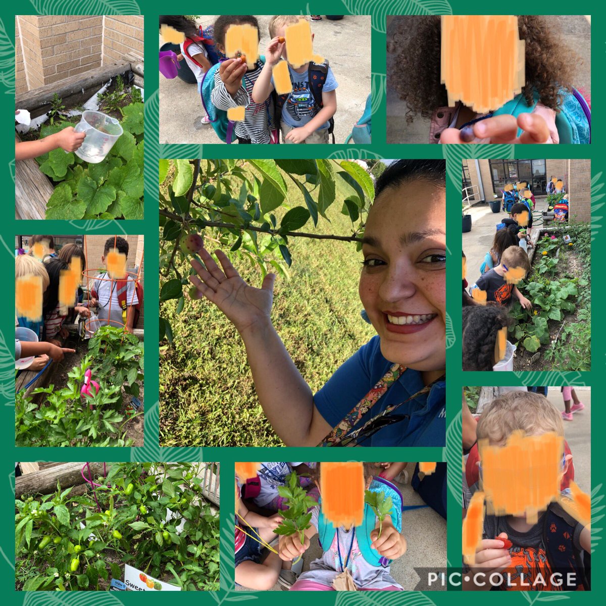 brandy_p23's tweet image. Help with BOOKS! 📚TX Title I PreK &amp;amp; Parent Educator at a school with over 500 kids. I provide resources, support&amp;amp;access to families. I’m passionate about learning &amp;amp; my community. Love #Reading! Excited for #PreKSTEM! #TeacherTwitter #clearthelists amzn.to/2KGGq9A