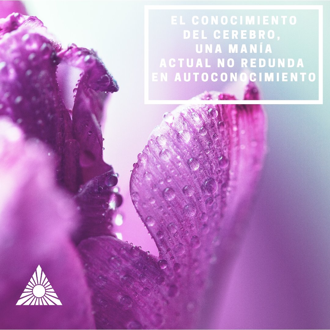 AE_FUNDACION's tweet photo. Sergio Sinay: "El conocimiento del cerebro, una manía actual, no redunda en autoconocimiento"

¿Estás de acuerdo? 🤔🙋🏻‍♀️ https://t.co/MjtSrzvDQq
