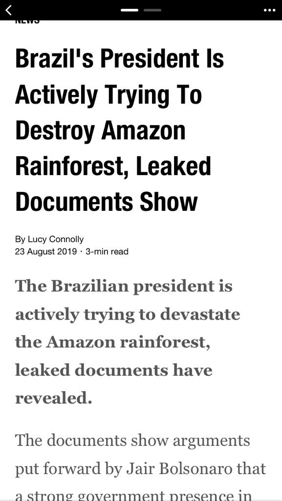 dearpresentlife's tweet photo. Is this true? 🥺 #PrayForTheAmazon https://t.co/VcqXpQyAHy
