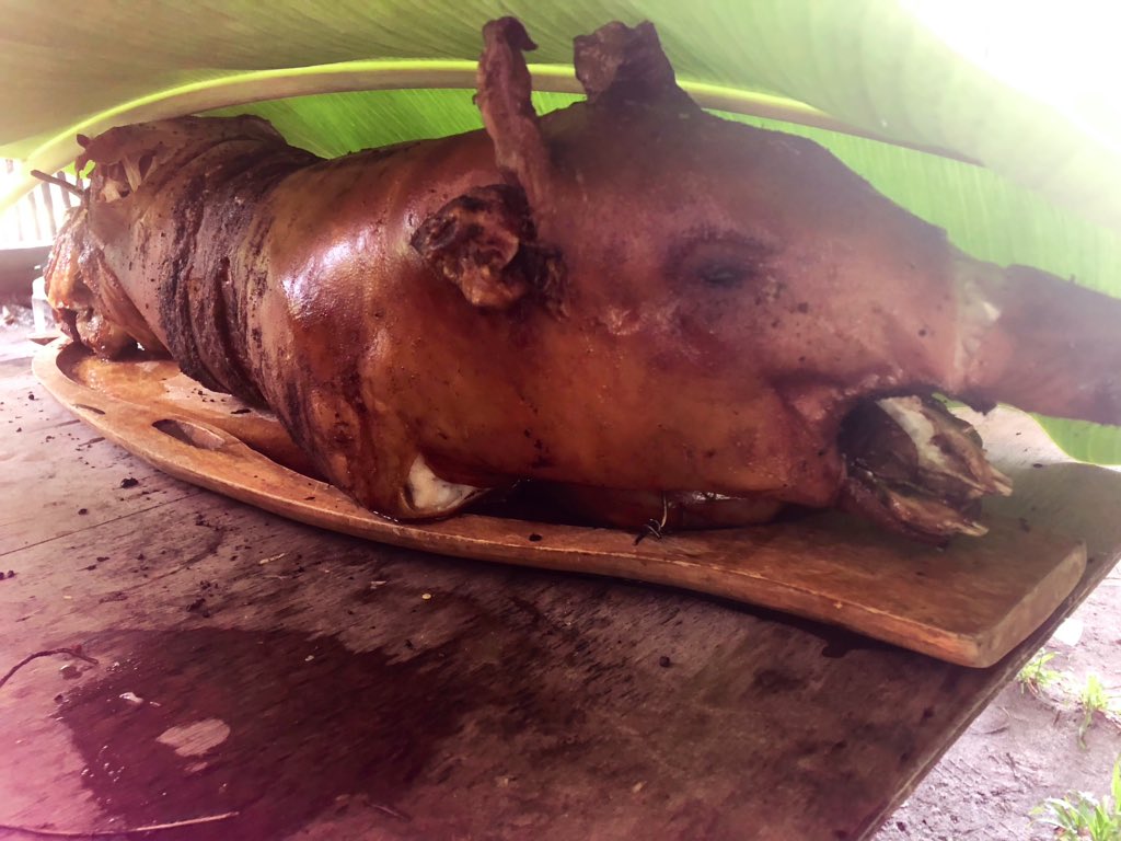 GeroldSchlegel's tweet photo. Heute Frühschicht 03:00Uhr.
Hitze u. das Schwein das auf den Spiess sollte, schrie in allen Tonlagen. Weckten mich. Schlachten.
Am Mitrag 13:00Uhr das Schwein auf dem Teller.
Geburtstagsparty. Hier auf den Philippinen heisst das:
Eat ent run!
Fressen und weg!
#GSchribigs https://t.co/RJH10TMRT0