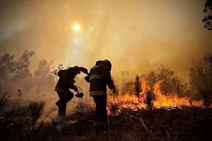 dearpresentlife's tweet photo. THEY ARE OUR HEROS 💪👩‍🚒

They're risking their lives for everyone.

They left their homes leaving their families, to FIGHT 👊 against FIRE 🔥 and SAVE the Amazon 🌳🐒🐦🦌☘️🐇🦝🦜
#PrayForTheAmazon https://t.co/kOdEs84aOT