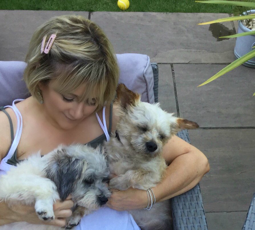 KFRD_I's tweet image. Two weeks ago these gorgeous boys arrived Kev loves them really 😉 🐶💙 @aniaid999 just look at them now #fosterfirst #adoptdontshop #stopyulin