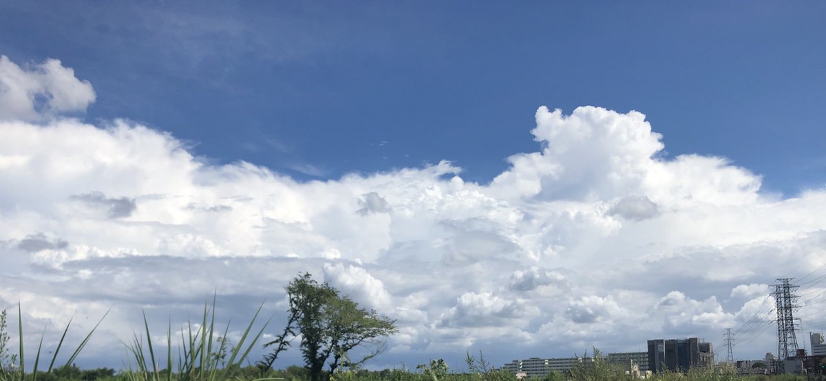 HDX48's tweet photo. 写真のアルバム見てて、今年今夏一番の雲が決定しました https://t.co/JVRBuPXuFR