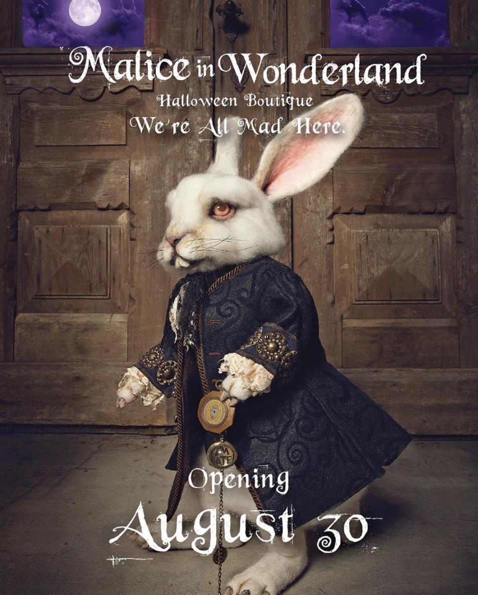 We are less than ONE week away folks! Are you visiting our Halloween Boutique, Malice in Wonderland, next weekend? 
#halloween2019