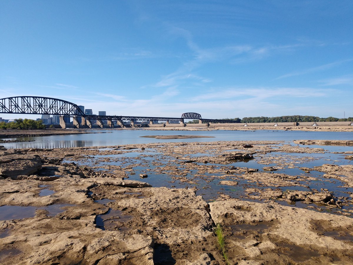 INGeoSurvey's tweet photo. Digging the Devonian Period? Come visit #IGWSgeologists at Falls of the Ohio @INDNRstateparks today for hands-on geology demos, crafts, fossil hikes, and #QuakeCottage experiences. It's a blast! https://t.co/fSIPNwjJfN