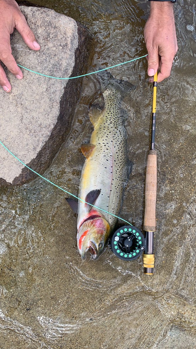 jkmdhansen's tweet photo. #montana #fishing great summer with friends and family. Really want to go back https://t.co/8yXkkT8pil