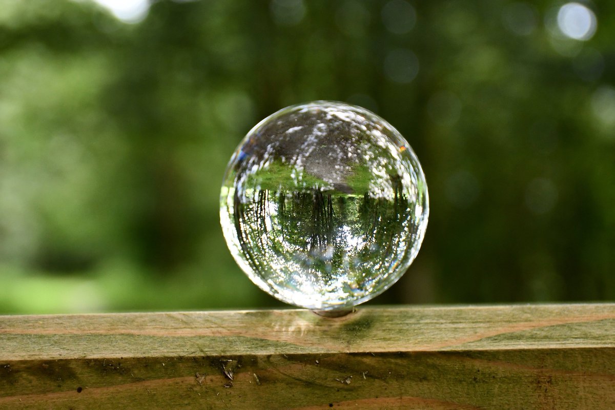 Redbirdcreation's tweet photo. #Hincaster trail through a #Crystalball 🔮 #woodland #Cumbria #photograghy #trees #nature @ThePhotoHour @PicBallot @CumbriaArt @WoodlandTrust @CumbriaViews https://t.co/m2JEAbDuNb