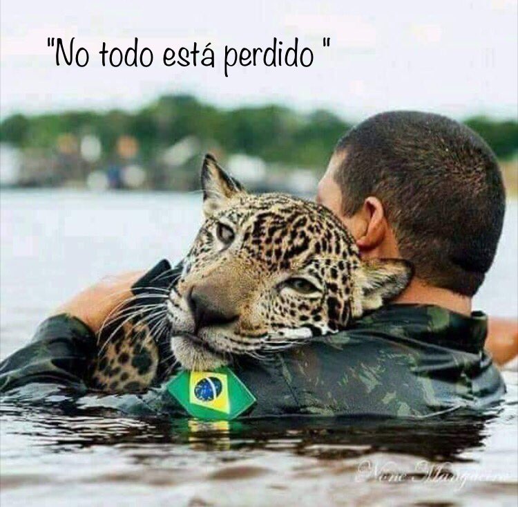 mabrunetti's tweet photo. #notodoestaperdido @GreenpeaceArg @GreenpeaceColom https://t.co/M4Nm505Aoe