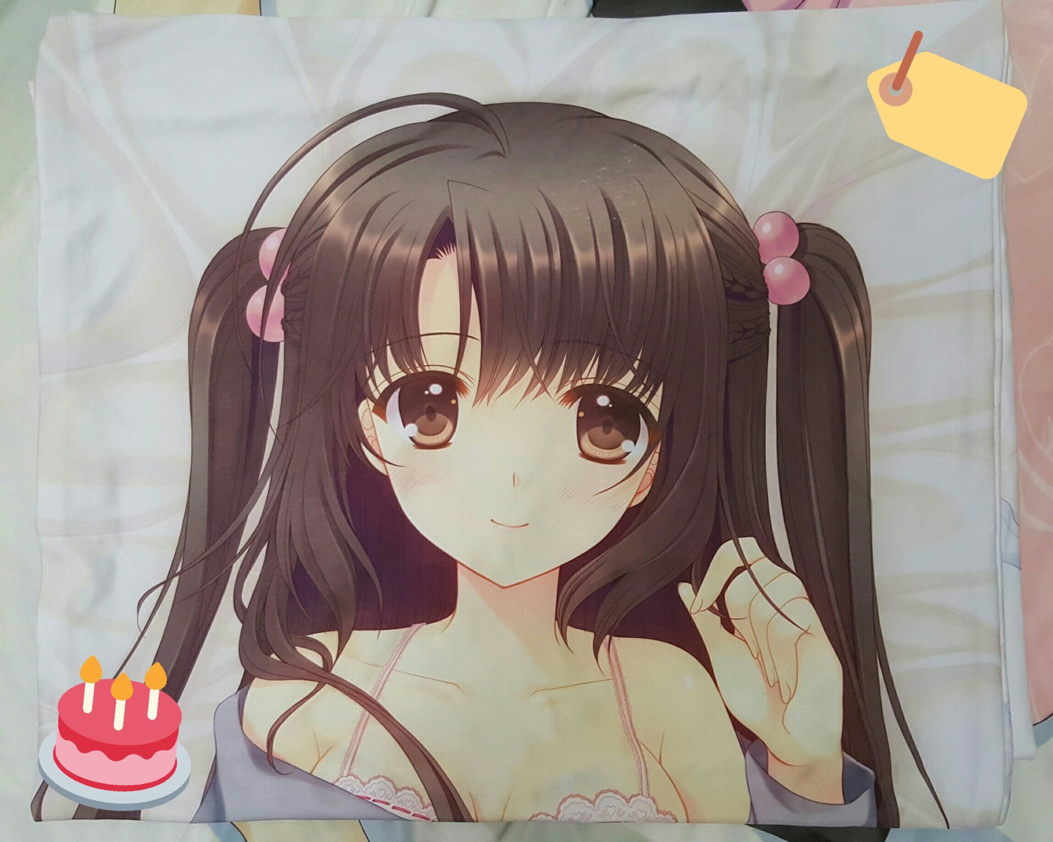 建 抱枕部屋on Twitter 俺たちに翼はない渡来明日香繪師 西又葵 Aoi Nishimata 19 01 01接手 只是它的拉鏈的樣式很少見 渡来明日香生誕祭