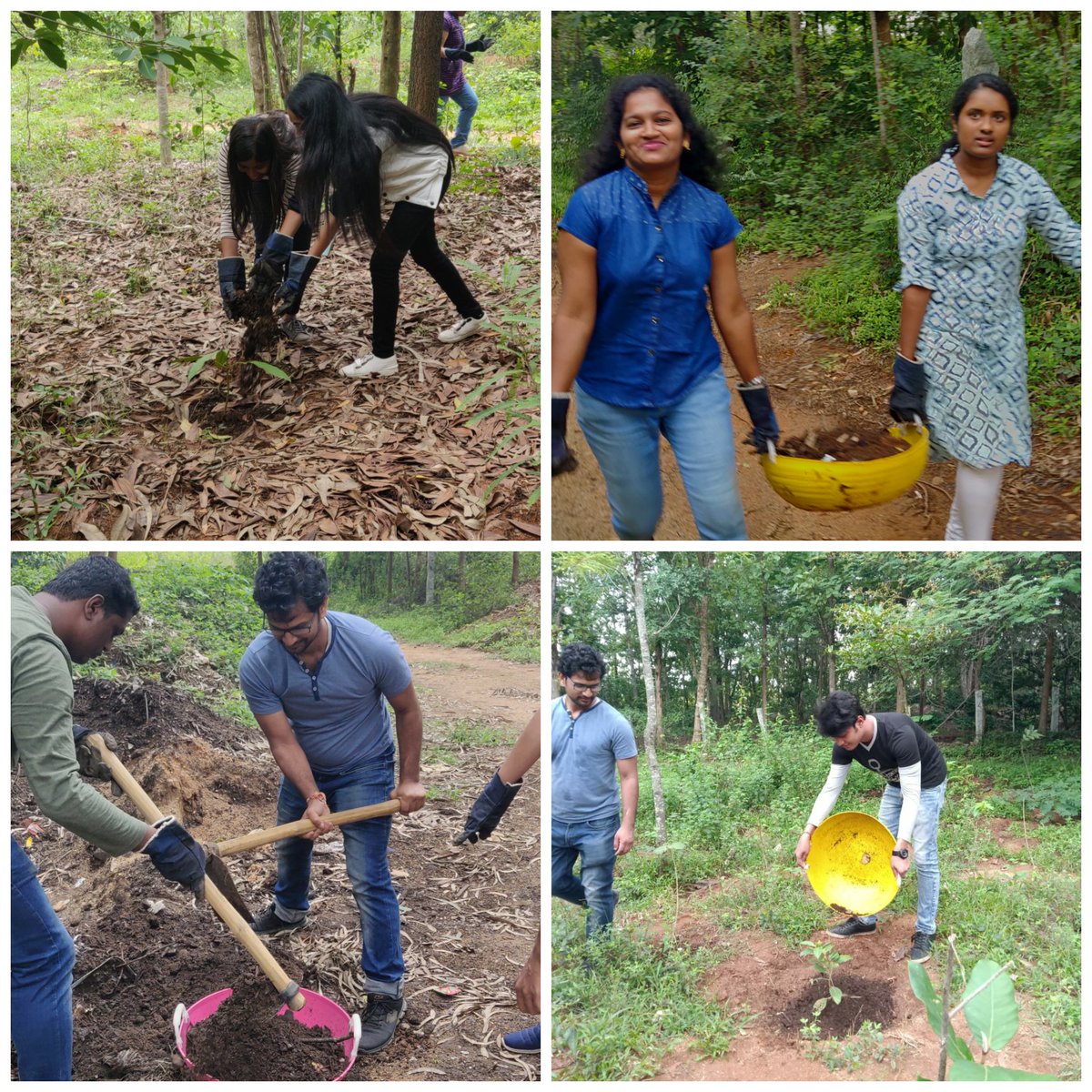 #TCSP4LSadhanaSamarpaNMonth
 #TCSEmpowers Plants were fertilized and Removed weeds by 40 volunteers at RK mission, #Bengaluru @AnupamSinghal5 @tcsjohn2001 @gurutrev @RakeshDevpura @sudeep_mazumdar @aasha2015 @People_TCS