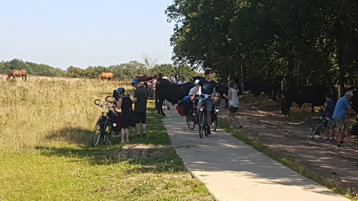 De keuze was vandaag de vliegshow #WingsOfFreedom of naar de hei. Het werd de hei. Veel fietsers en wat obstakels op het fietspad maar 't was gezellig.