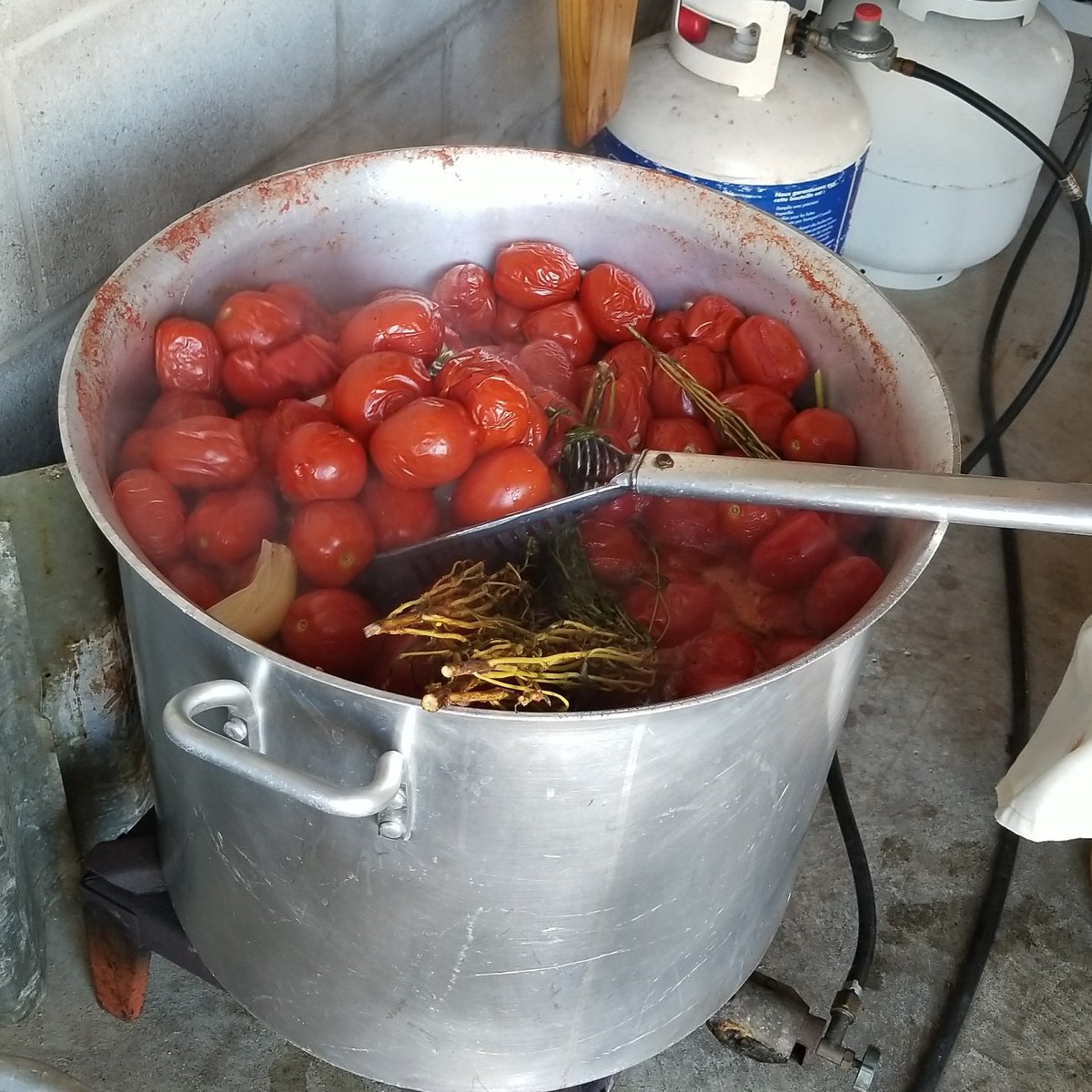 debdundas's tweet photo. Making tomato sauce step two. Boil 'em with some secret ingredients. Each pot holds 1.5 bushels. #toronto #corsoitalia #lanewaylife https://t.co/2DT3itjs31