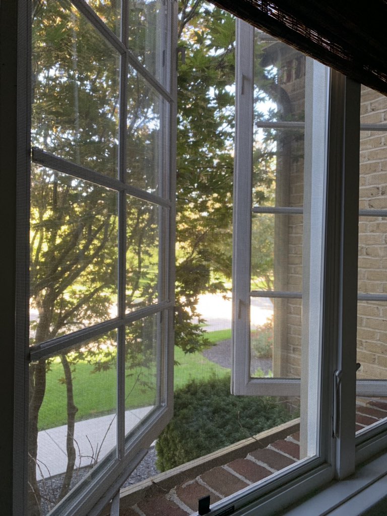 AnneMarieWTHR's tweet photo. It’s an open the windows kind of day at #teamtiernon 🙌🏻 https://t.co/PEXnD9BB49