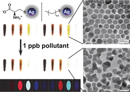 angew_chem's tweet photo. Chemically Induced Sintering of Nanoparticles (Suslick) @ChemistryUIUC #chemodosimeter #AnalyticalMethods https://t.co/kTw92ehCnQ https://t.co/cYeLyK0UmN