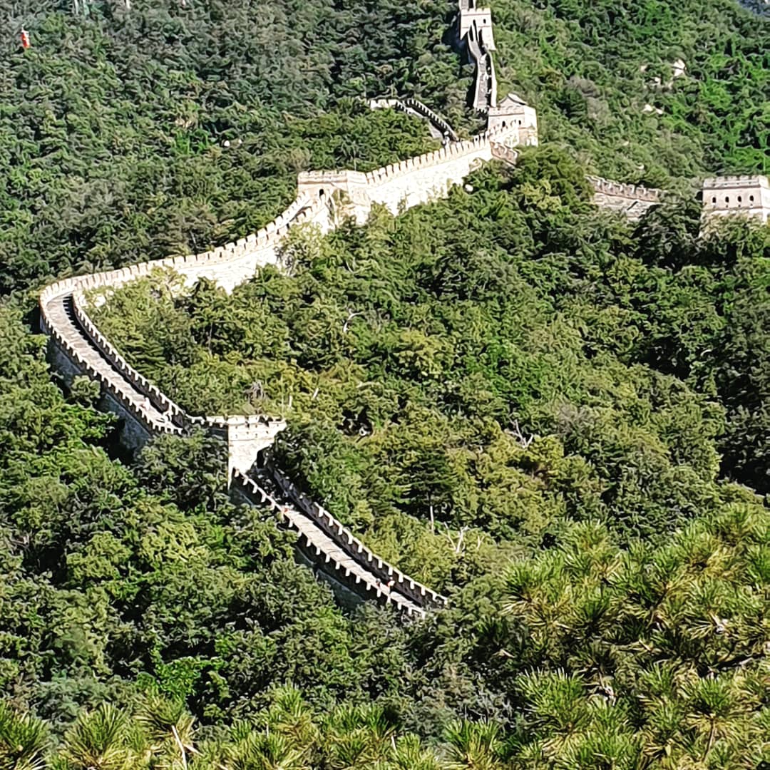 Michael O'Dell tweet media