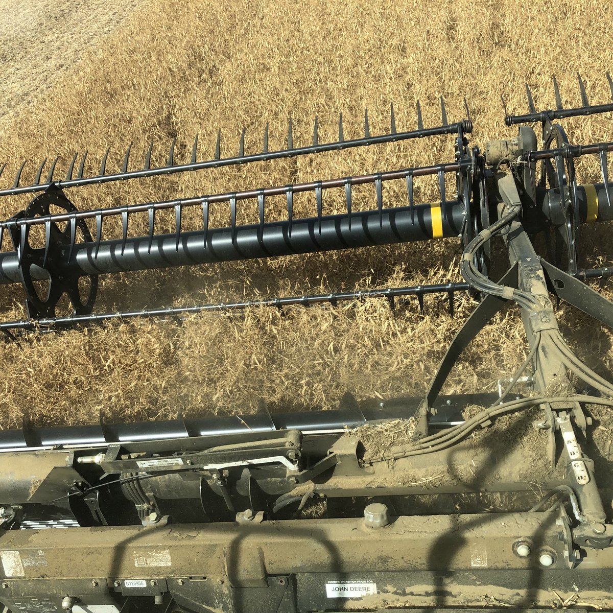 douggomex's tweet photo. Carver peas standing tall and yielding great. Smart growers, good fertility and “The right nutrition at the right time” 60+ bu/Ac. #omex #pulsepak #Calmaxcomplete #armriverfarming https://t.co/hROqqoLsW1