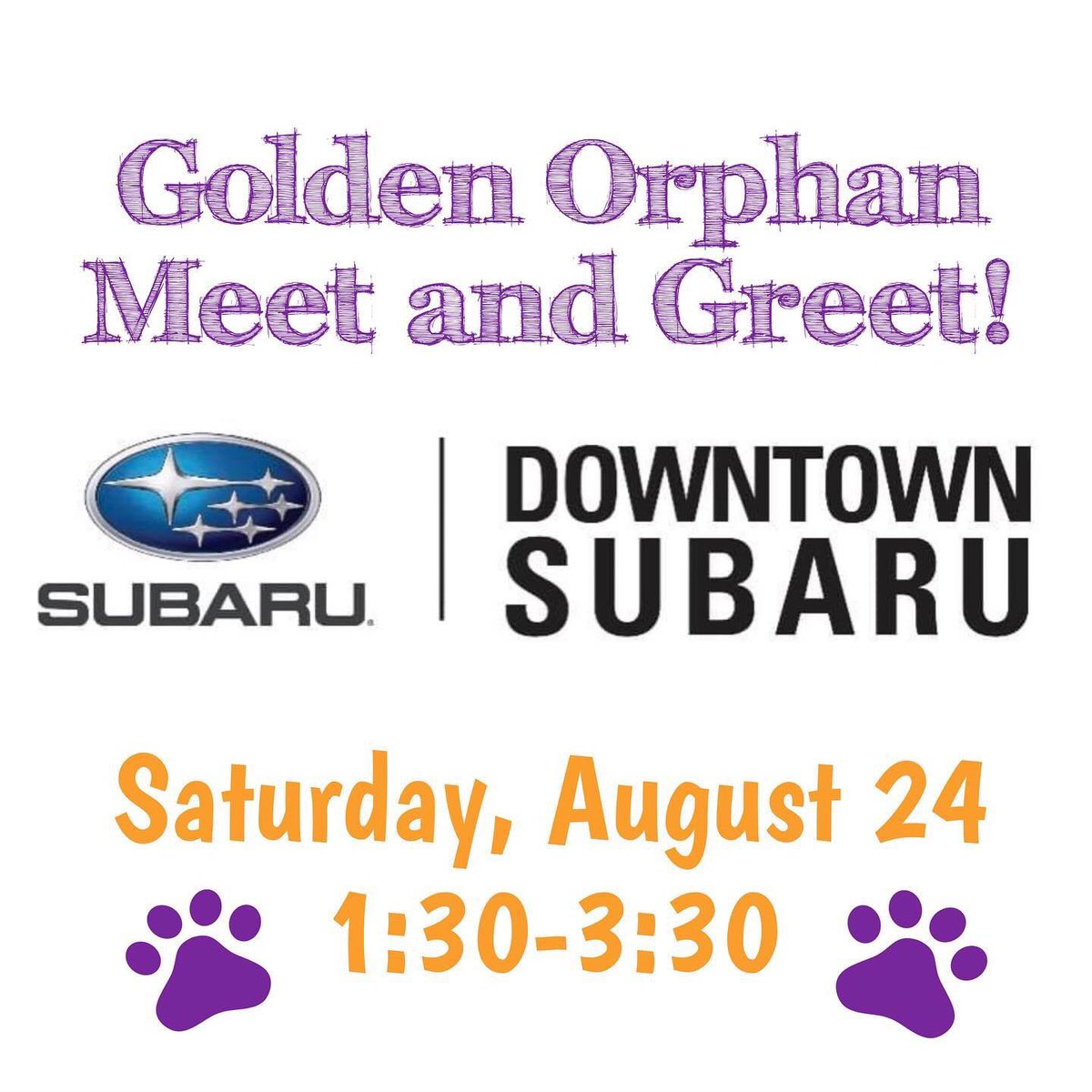 AdoptGoldenNash's tweet photo. Don’t forget about our meet &amp; greet TODAY at @Downtown_Subaru at 1:30pm! #AGN #AdoptaGoldenNashville https://t.co/mNNmx1McE2