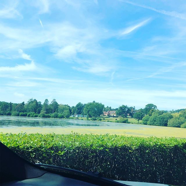 My Website Solutions tweet media