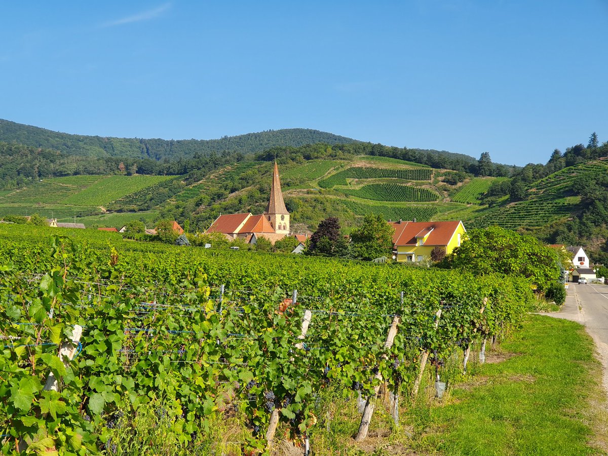 rabier1967's tweet photo. Week-end de charme en Alsace au coeur des vignobles https://t.co/1D8h18Nl1t