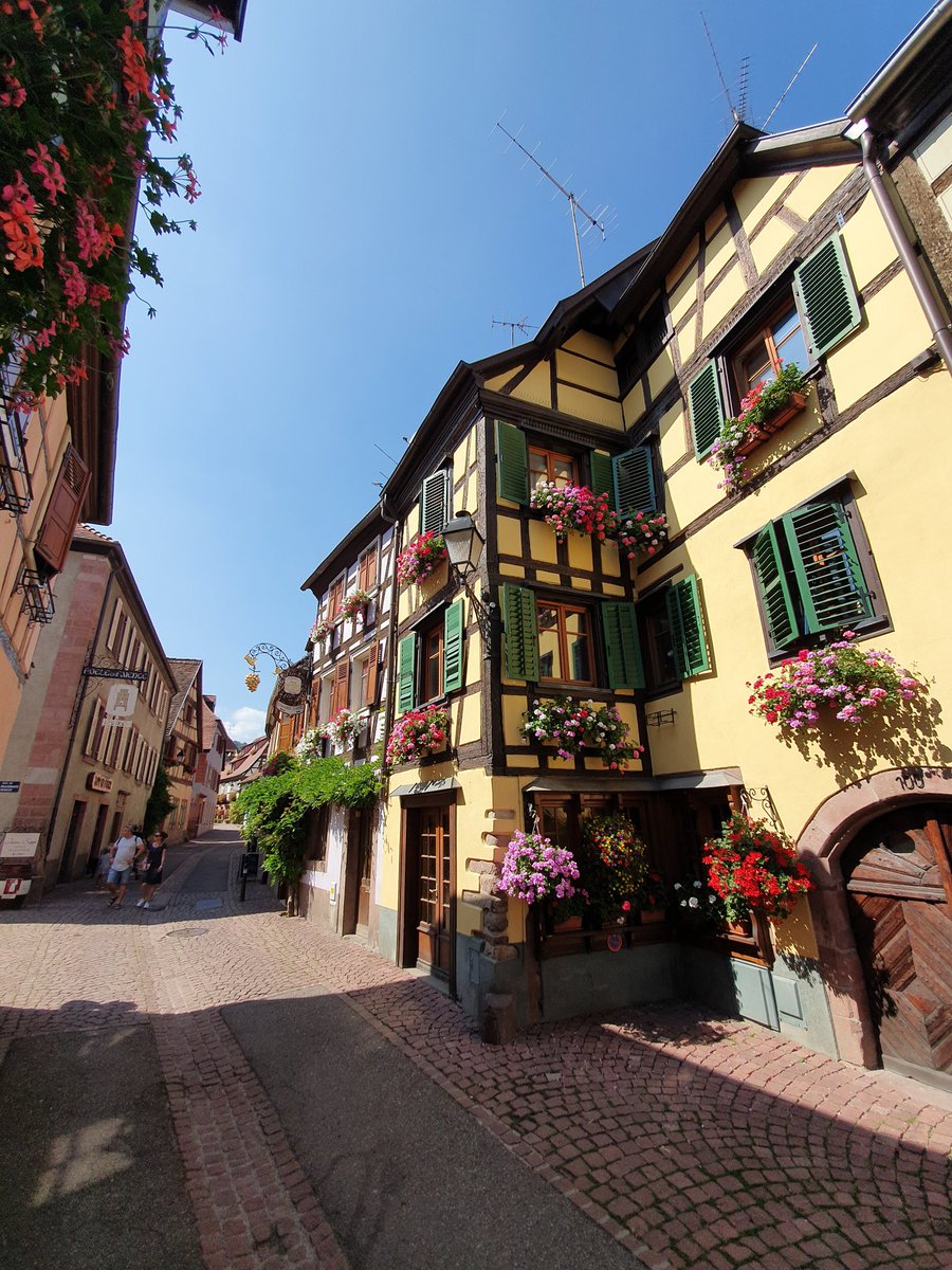 rabier1967's tweet photo. Week-end de charme en Alsace au coeur des vignobles https://t.co/1D8h18Nl1t