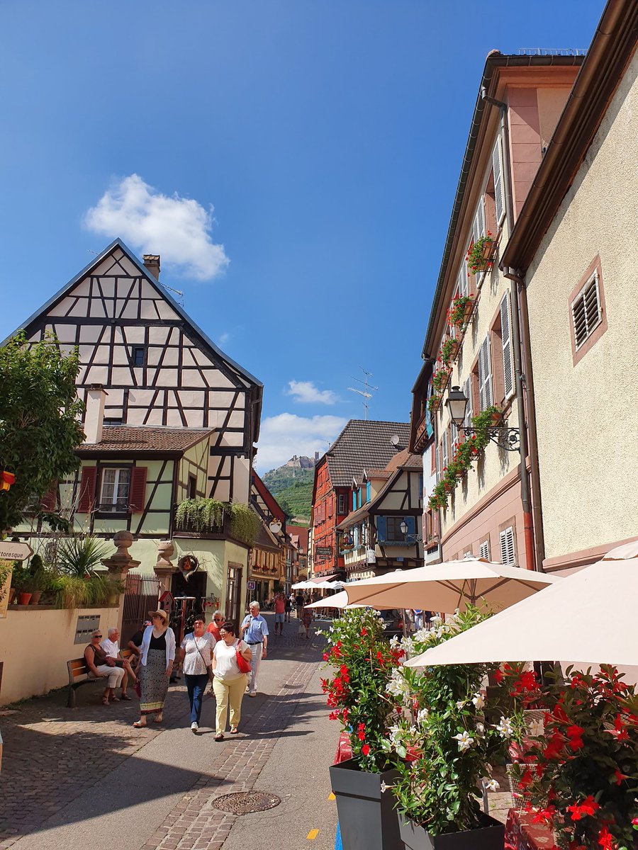 rabier1967's tweet photo. Week-end de charme en Alsace au coeur des vignobles https://t.co/1D8h18Nl1t