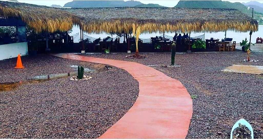 palapa_de's tweet photo. Con este rico clima 🌥 se antojan 🤤 unos riquísimos mariscos 🍤🦀🦑🐟de #LapalapaDeLeslie 
Excelente fin de semana 🤗 https://t.co/gPehUJPkJI