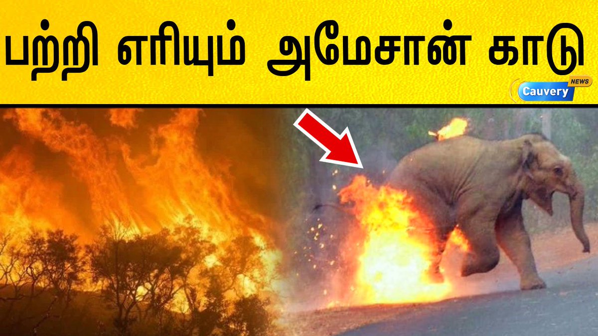 cauverytv's tweet image. FULL VIDEO LINK : youtu.be/XRoqMy-zhiU

நெஞ்சை உருக்கும் அமேசானின் கோர முகம்..!
#AmazonForestFire #AmazonRainForest #PrayForAmazonRainForest #Savetrees  #CauveryDigital #SpecialPackcage