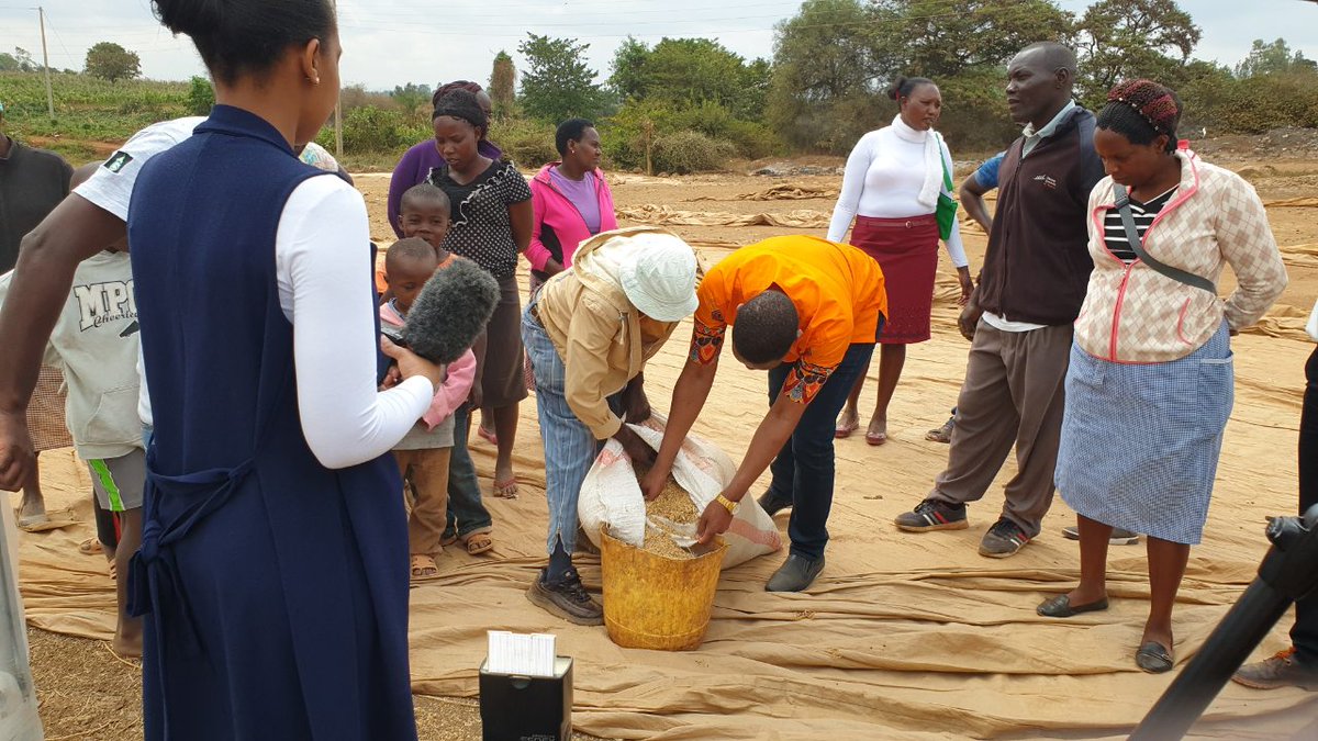 steffi_maingi's tweet image. At Mwea today discussing on how to use clean energy to add value to the rice value chain
Using solar dryers to dry rice #cleanenergy
#InnovativeVolunteerism #ebafosa @ebagropamoja @grekkonlimited @RichardMunang @Mtejah2