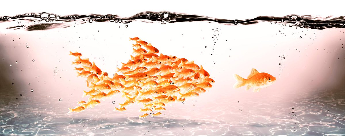 IronCladSS's tweet image. At IRONCLAD, our training program shows you how to motivate, stimulate and keep your employees engaged. 
 #HaveConfidenceInYourSecurity #IroncladSecurity

#RiskManagement #LossPrevention #SecurityAwareness #SafetyAwareness