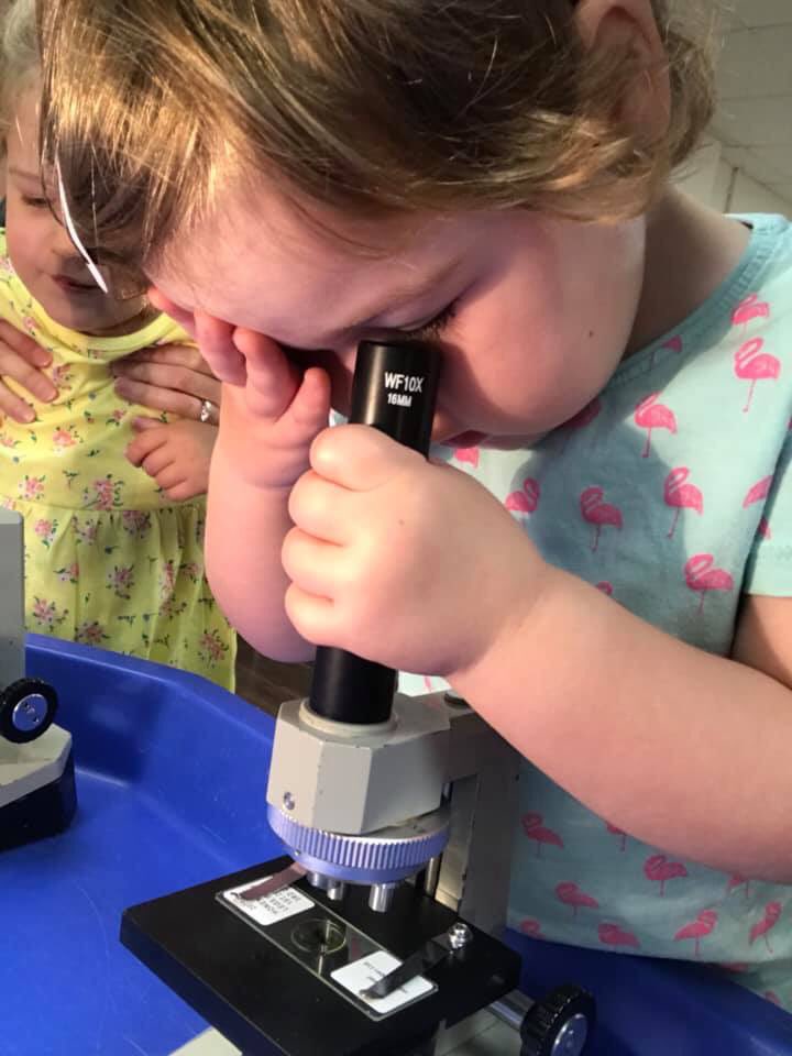 Mini Professors tweet media