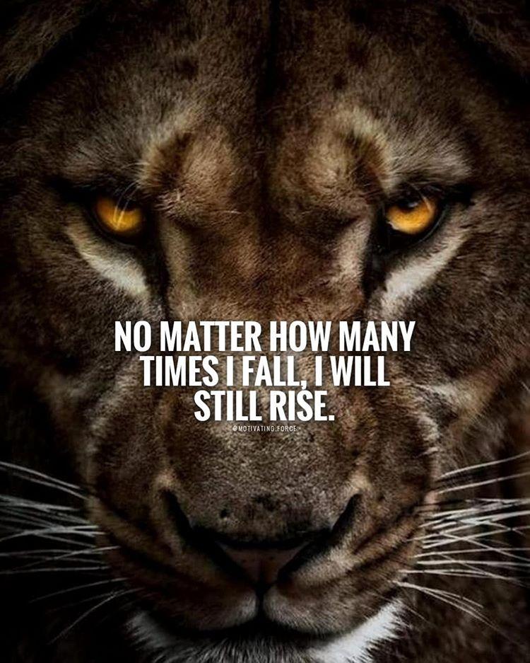 economic_helen's tweet photo. NO MATTER HOW MANY TIMES I FALL,I WILL STILL RISE.
#motivationalvideo #motivationalegg #motivationalplaque #motivationalcomedy #motivationalposts #motivationarmy #motivationalentrepreneur #motivationalquotesandsayings #motivationalthougts #MOTIVATIONALBYTES https://t.co/fK1nZwupi4