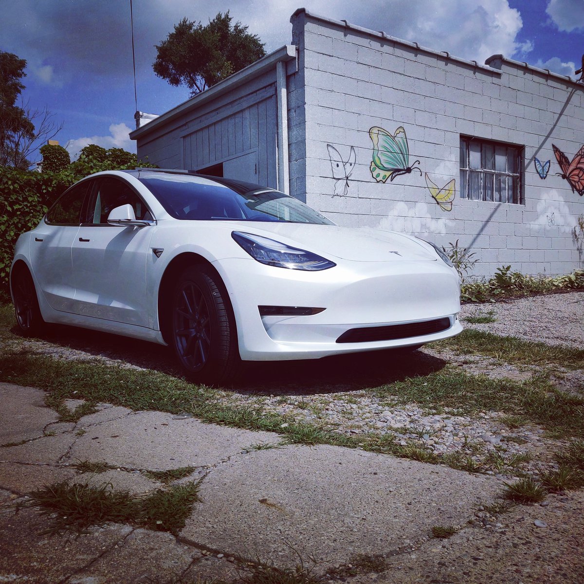 Matrixshots's tweet photo. @Crudes @Tesla @elonmusk Welcome to the Tesla gang gang boii https://t.co/vHnZLFeybH