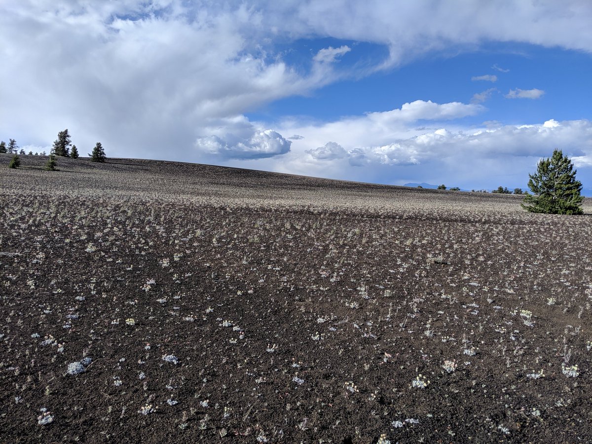 Zwyley's tweet photo. Idaho Trip Part 11. Crators of the Moon cont. https://t.co/k161fO4gvM
