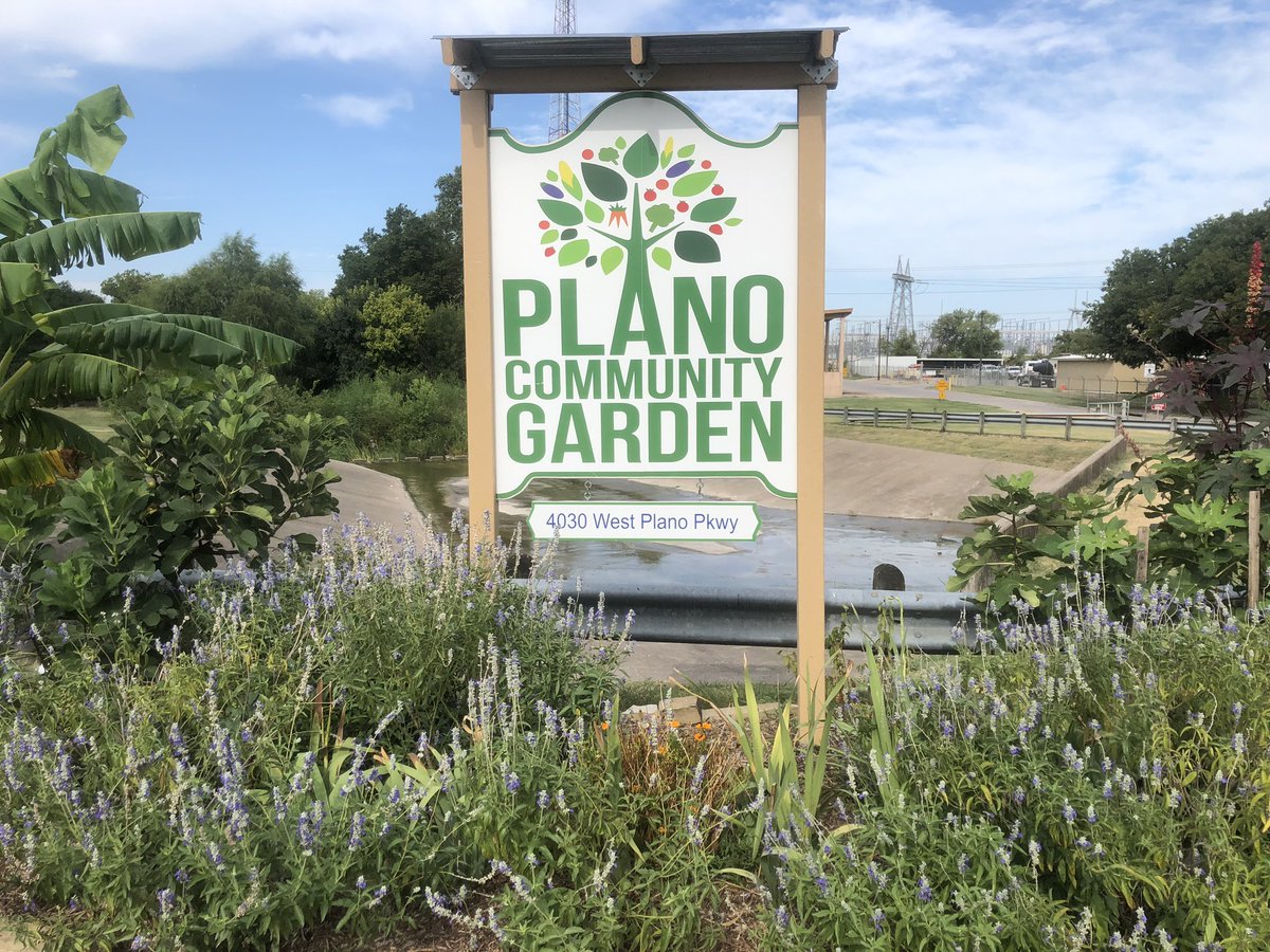 DoubleO70's tweet photo. My son started in a learning different high school! He has to do 60 hours community service to graduate! We met lovely people and I picked up some gardening tips this morning #dallasrocks #community #greenfingers https://t.co/TVi6sP09OW