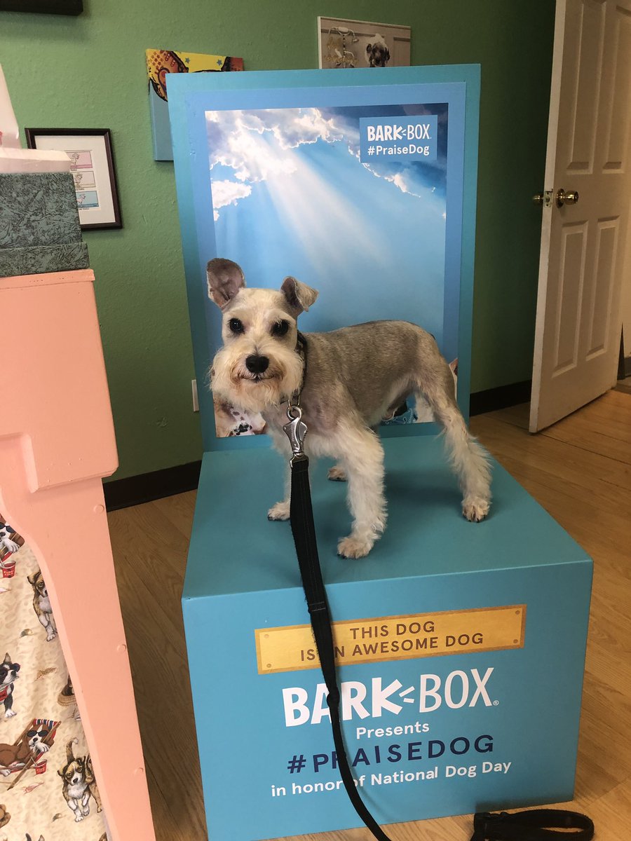 #Praisedog #DiamondsintheRuff