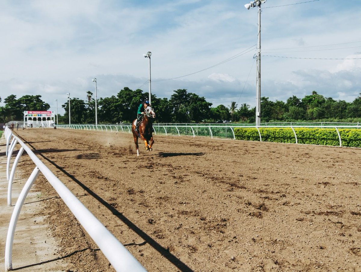 ForwardStride's tweet photo. This weekend is your last chance to get your favorite horse into the running for Horse of the Year! Get them past $3,000 by midnight on Sunday. Donate today!
https://t.co/La3fN2RdxU

#forwardstride #fundraiser #nonprofit #goodcause #therapyhorse #therapypony #therapeuticriding https://t.co/zoh01IDVgS