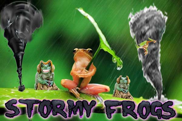 WengerJeffrey's tweet photo. Join me and @EmeraldOnxy Tonight at 6pm CST -5 GMT for 1.14.4 StormyFrogs Follower / SUB Server going to Work A bit on a AFK Fishery At Spawn Area for Public. https://t.co/ckHNcdwEQF #BSo7 #ElevatedPulse #Minecraft #Twitch #TwitchAffilate #RidersoftheStorm #ManWomanMinecraft https://t.co/IZ2sBs3dPw